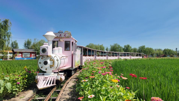 宁夏：经济新“丰景”渲染塞上金秋